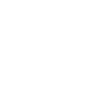 suzano suzano